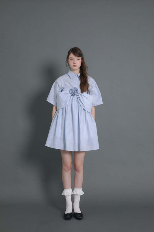 Original design shirt dress