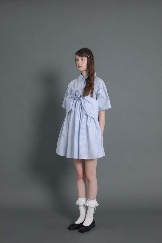 Original design shirt dress